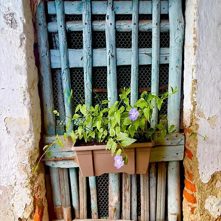 Nyaraló Il Nido Su Stresa