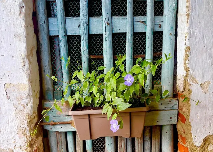 Hébergement de vacances Il Nido Su Stresa